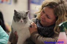 turnhout20150071