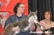Arendonk 2024 457