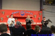 turnhout 2019-0428