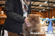 Arendonk 2024 071