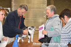 Schow Antwerpen 2023 085