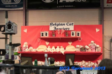 turnhout 2013 img 9923