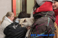 turnhout 2013 img 9905