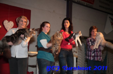 bcf antw 2010 256