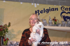 Schow Antwerpen 2023 307