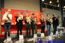 turnhout 2019-0207