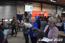 Laakdal 2023 393