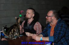bcf antw 2010 079