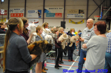 turnhout 2019-0145