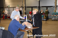 Schow Antwerpen 2023 040