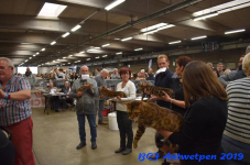 Antwerpen 2019DSC 0337