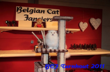 bcf antw 2010 298