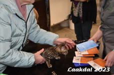 Laakdal 2023 099