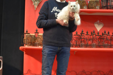 Katttenshow Arendonk 2020 DSC 0421