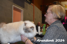 Arendonk 2024 248