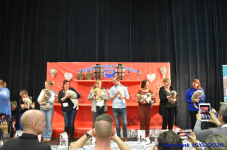 Katttenshow Arendonk 2020 DSC 0706