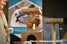 Antwerp 2022390