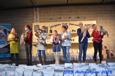 Antwerpen 2019DSC 0321