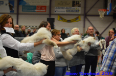 turnhout 2019-0449