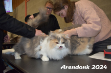 Arendonk 2024 053