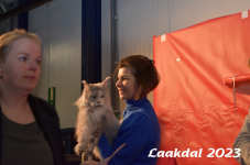 Laakdal 2023 268