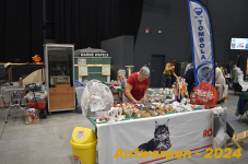 Antwerpen 085