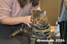 Arendonk 2024 087