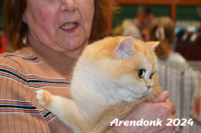 Arendonk 2024 228