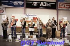  bcf ant 201139