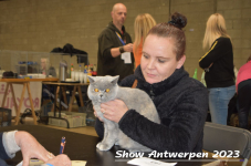 Schow Antwerpen 2023 240