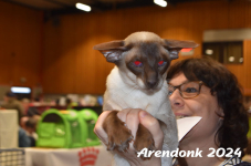 Arendonk 2024 393