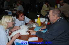 bcf antw 2010 076