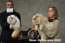 Antwerp 2022234