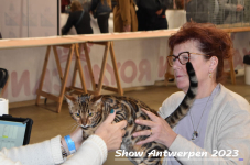 Schow Antwerpen 2023 293