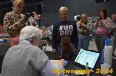 Antwerpen 210