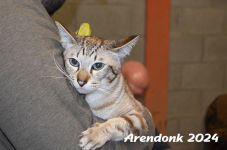 Arendonk 2024 434