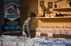 Antwerpen 2019DSC 0215