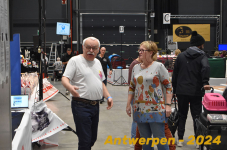 Antwerpen 079