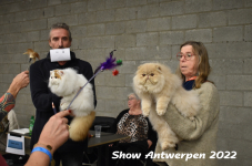 Antwerp 2022233