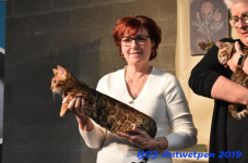 Antwerpen 2019DSC 0376