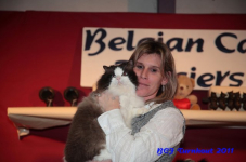 bcf antw 2010 185