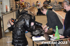Laakdal 2023 053
