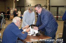 Schow Antwerpen 2023 037