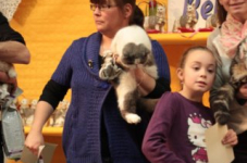 turnhout20150151