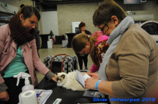 antwerp 2018 0107