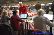 Antwerpen 2019DSC 0173