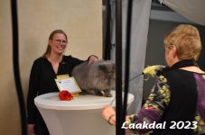Laakdal 2023 362
