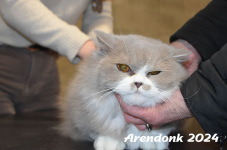 Arendonk 2024 094
