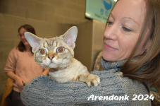 Arendonk 2024 139