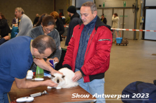 Schow Antwerpen 2023 109